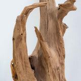 Raices statuette décorative bois naturel